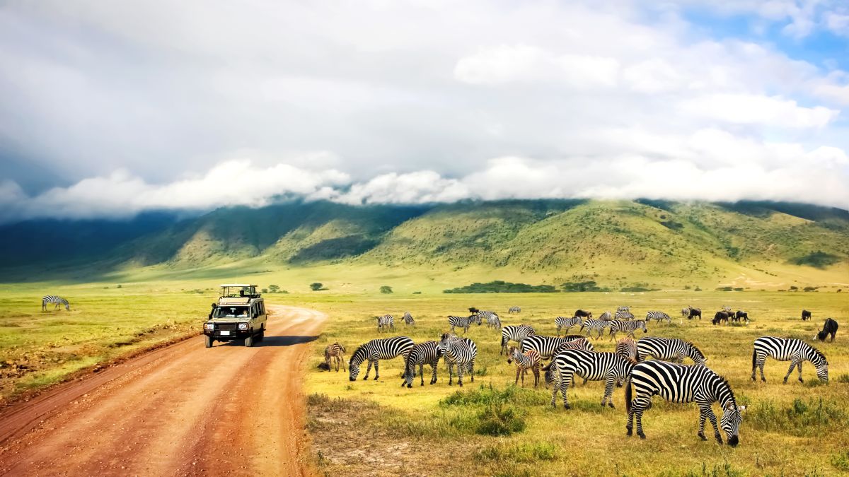 A legjobb szafariélmények Tanzániában - OTP Travel Utazási Iroda