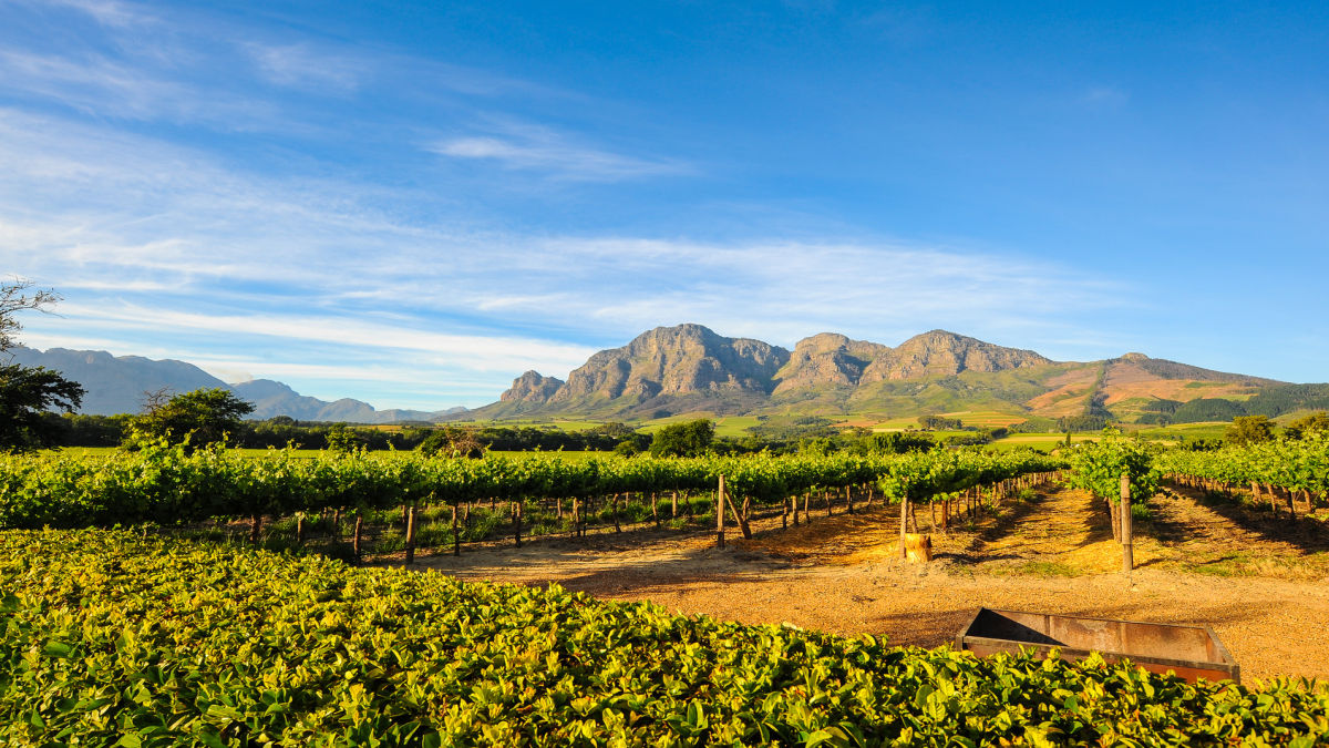 Cape Town - cseppnyi Európa Afrikában - OTP Travel Utazási Iroda