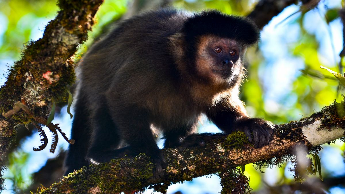 A lehengerlő Iguazú-vízesés - OTP Travel Utazási Iroda