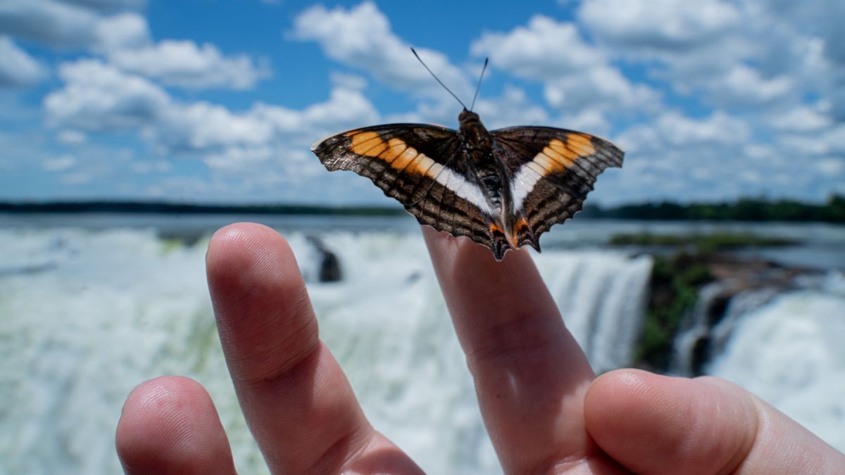 A lehengerlő Iguazú-vízesés - OTP Travel Utazási Iroda