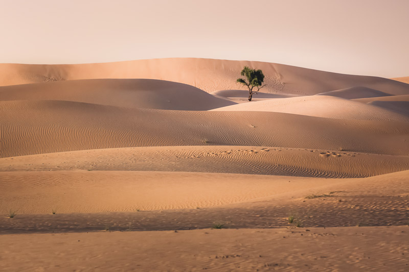 Omán - Maszkat - Muscat - végtelen sivatag