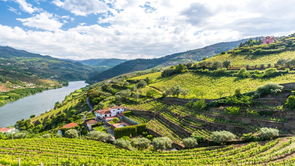 Portugál bor és kultúra - OTP Travel Utazási Iroda
