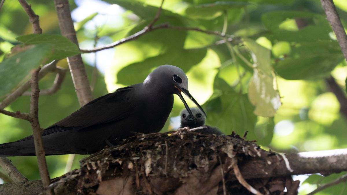 A Seychelles-szigetek ékkövei - OTP Travel Utazási Iroda