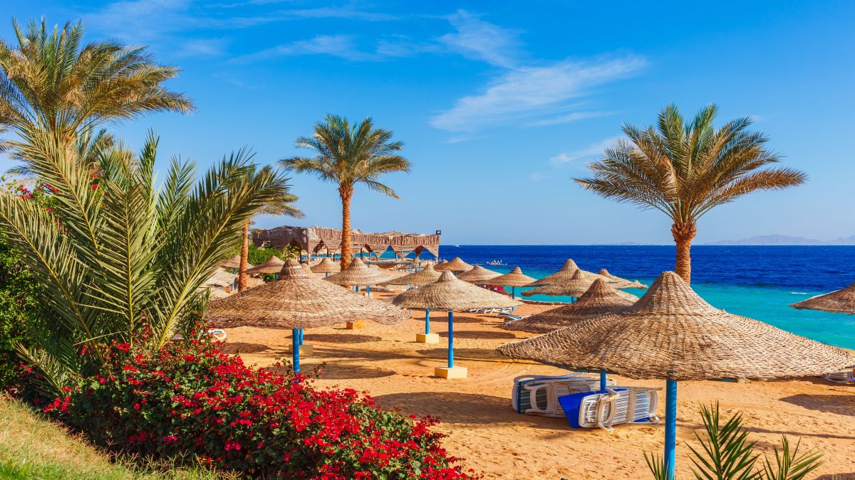 Sharm el Sheikh - tengeri kalandok - OTP Travel Utazási Iroda