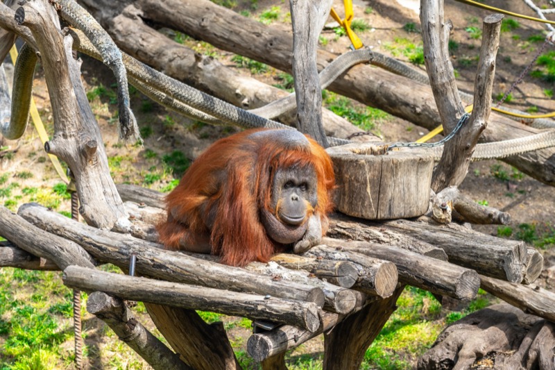 Spanyolország | Barcelona | Parc Zoològic de Barcelona - OTP Travel Utazási Iroda