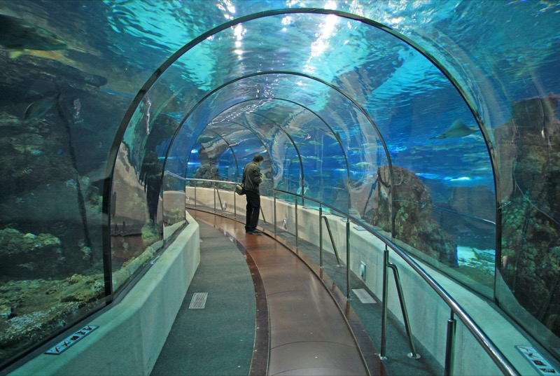 Spanyolország | Barcelona | Aquarium - OTP Travel Utazási Iroda