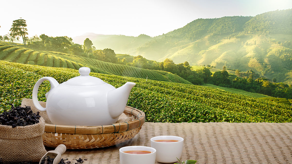 Ázsia, Top10 tea - OTP Travel Utazási Iroda