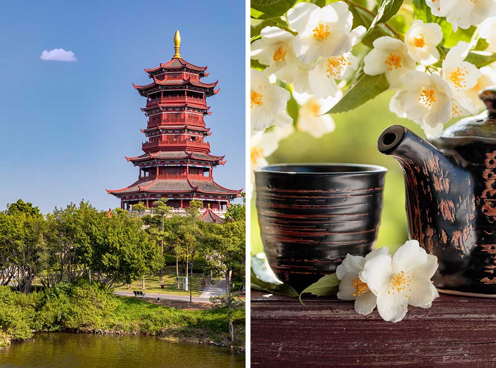 Kína, fehér tea - OTP Travel Utazási Iroda