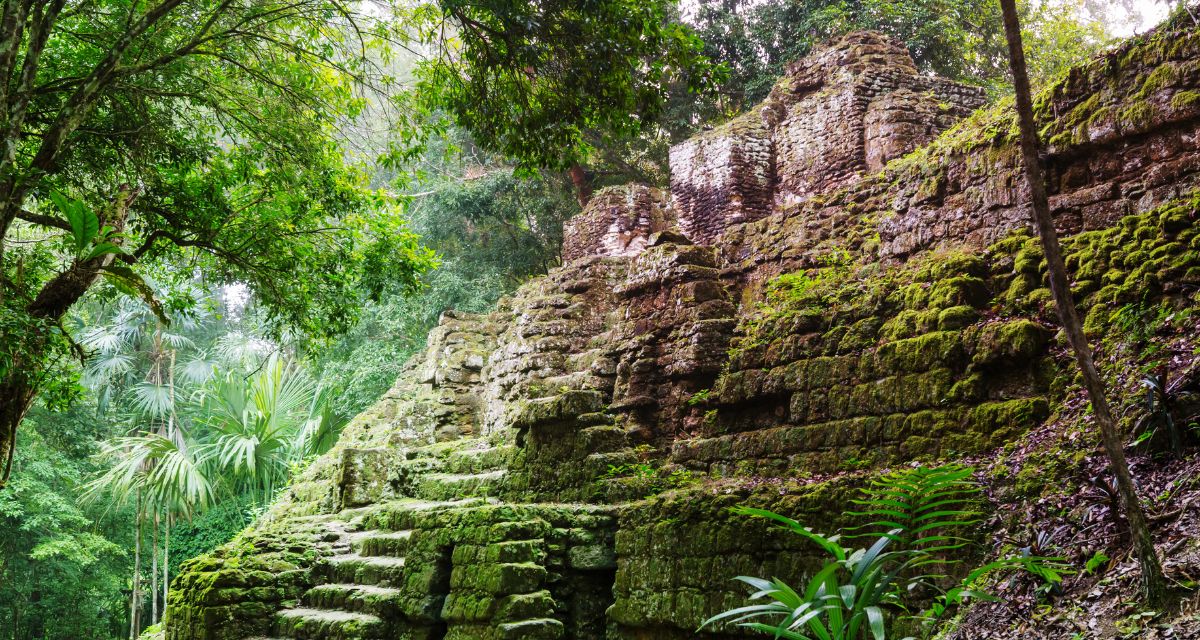 Az aztékok aranya a nopál - OTP Travel Utazási Iroda