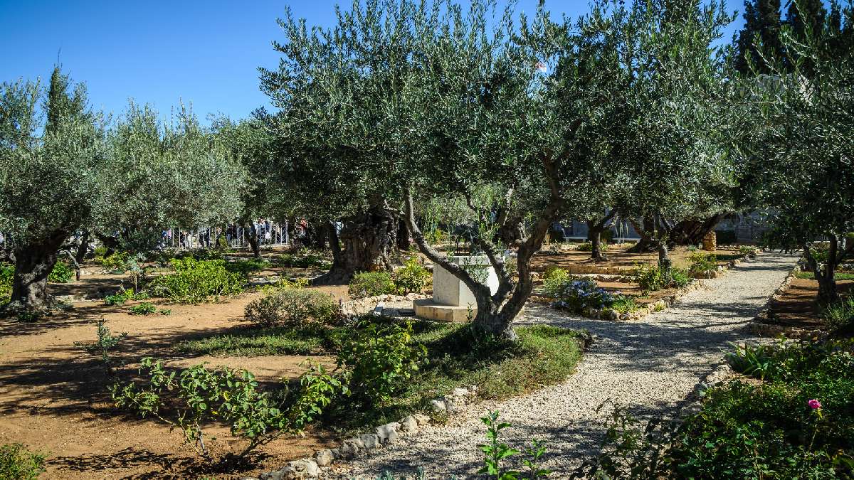 Izrael – Jordánia látogatással Jerash-ban - OTP Travel utazási iroda