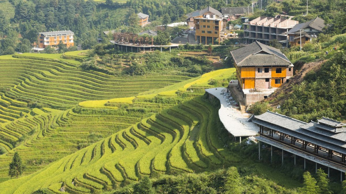 Kína Hongkong egyéni körutazás - OTP Travel utazási iroda