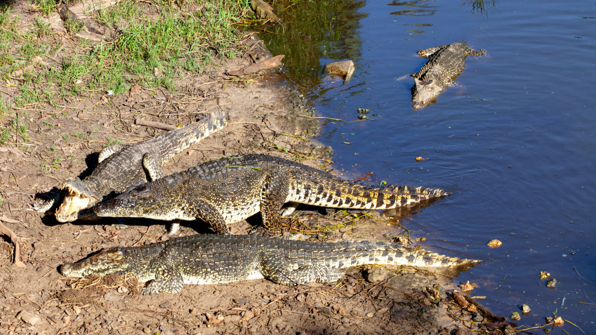 Montemar Nemzeti park - OTP Travel Utazási iroda