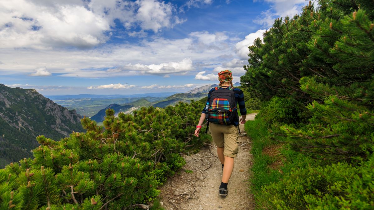 Zakopane erdőfürdővel - OTP Travel utazási iroda