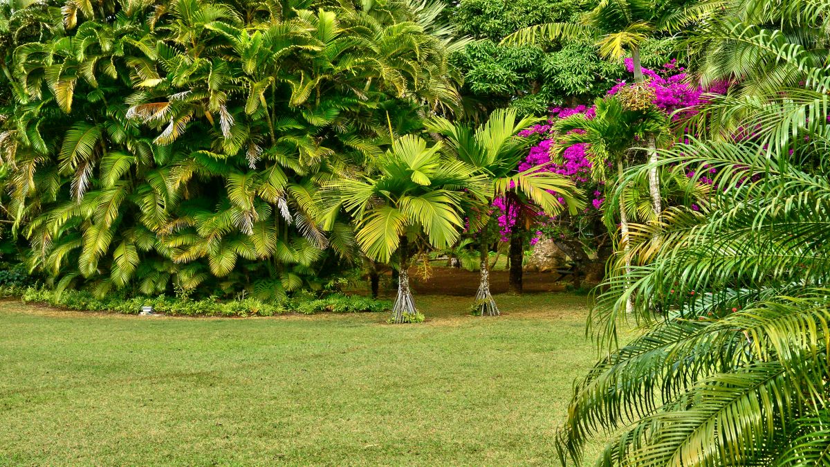 Mauritius, az Indiai-óceán csillaga - az OTP Travel utazási iroda szervezésében.