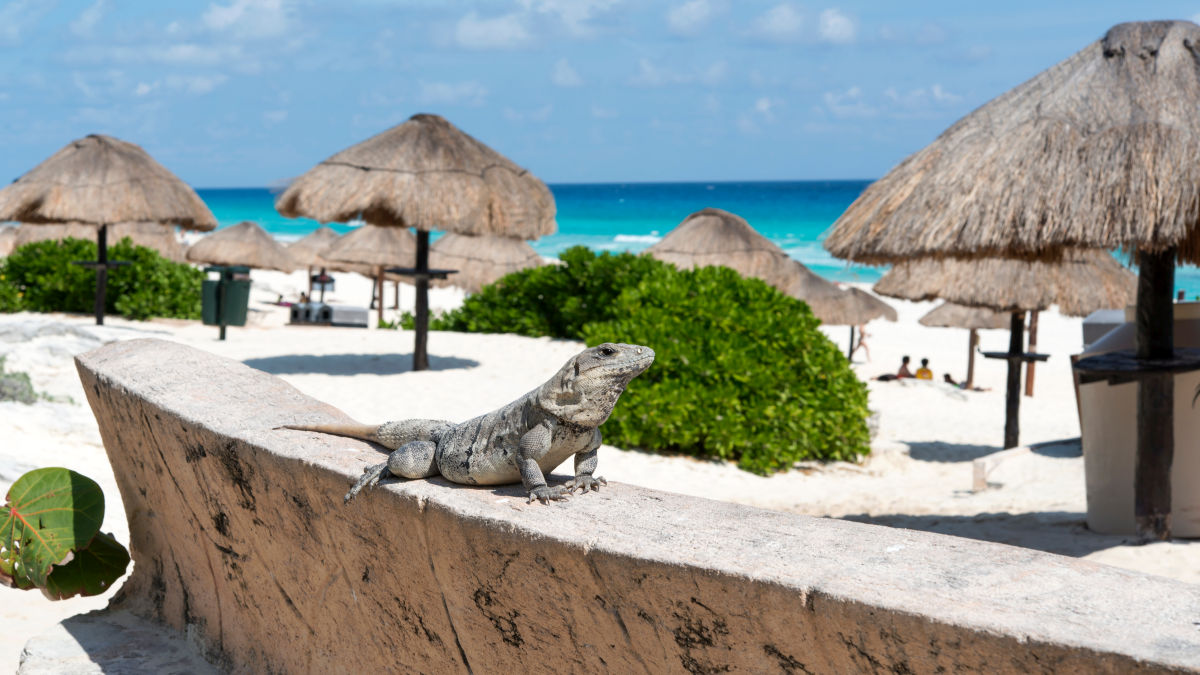 Körutazás Mexikóban, all inclusive üdüléssel Cancúnban - Teotihuacan látképe