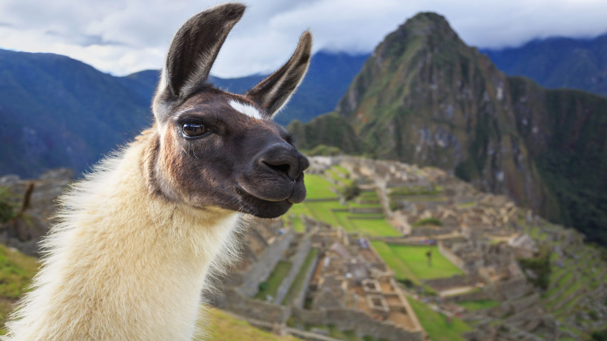 10 érdekesség a Machu Picchuról - OTP Travel Utazási Iroda