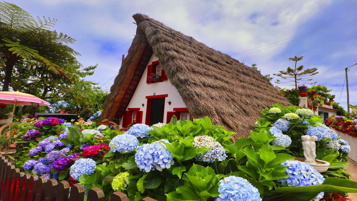 Portugália - MADEIRA utazás - PORTUGÁLIA - utazásszervező