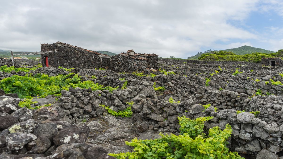 Azori-szigetek - csoportos körutazás három szigeten Sao Miguel, Faial, Pico - Portugália körutazás - OTP Travel utazási iroda