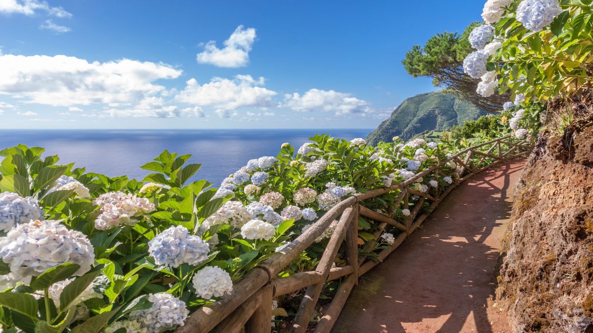 Azori-szigetek - csoportos körutazás három szigeten Sao Miguel, Faial, Pico - Portugália körutazás - OTP Travel utazási iroda