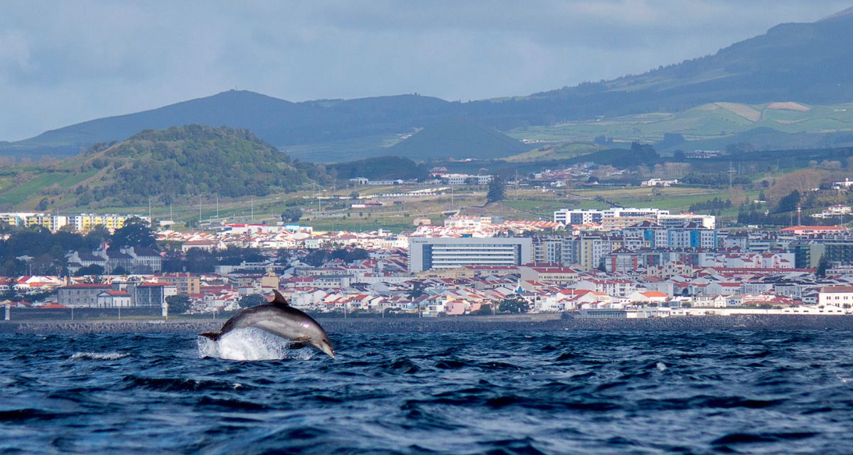 Coimbra – a híres egyetemváros - OTP Travel Utazási Iroda