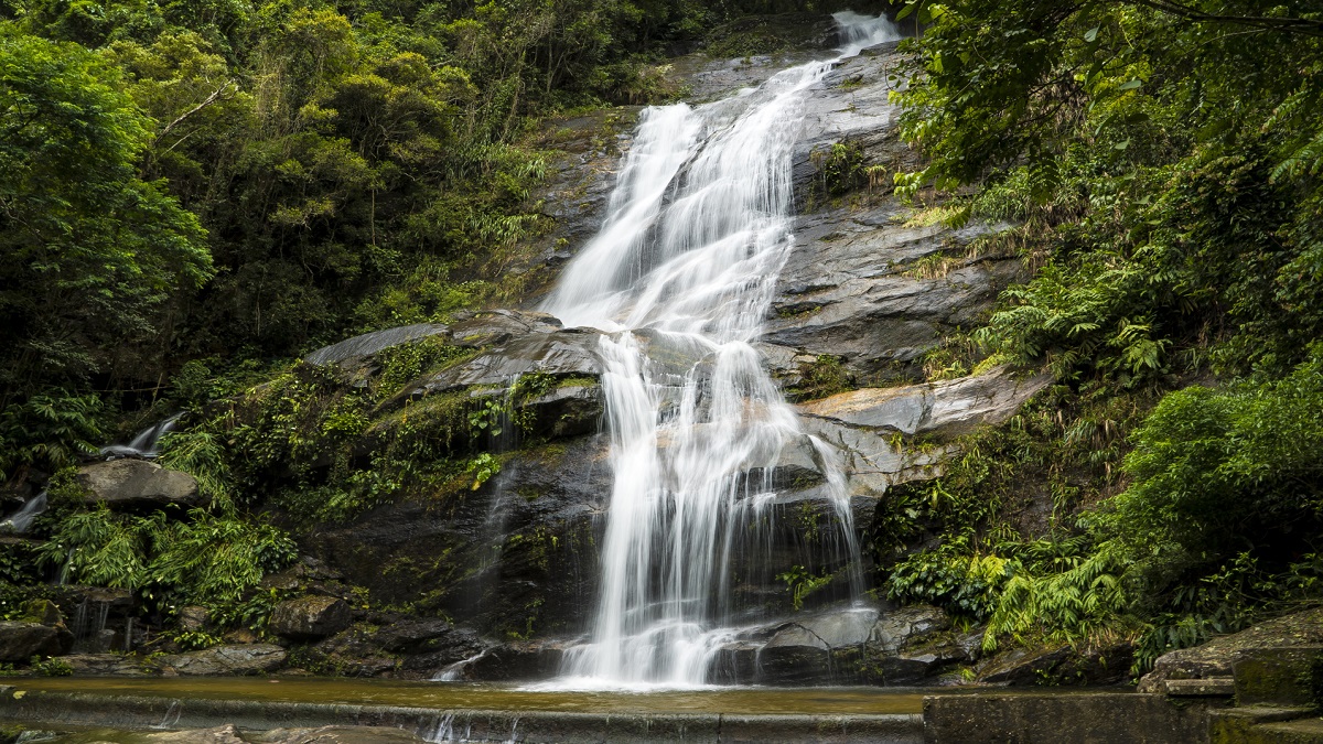 Brazília - Tijuca esőerdő - OTP Travel Utazási iroda