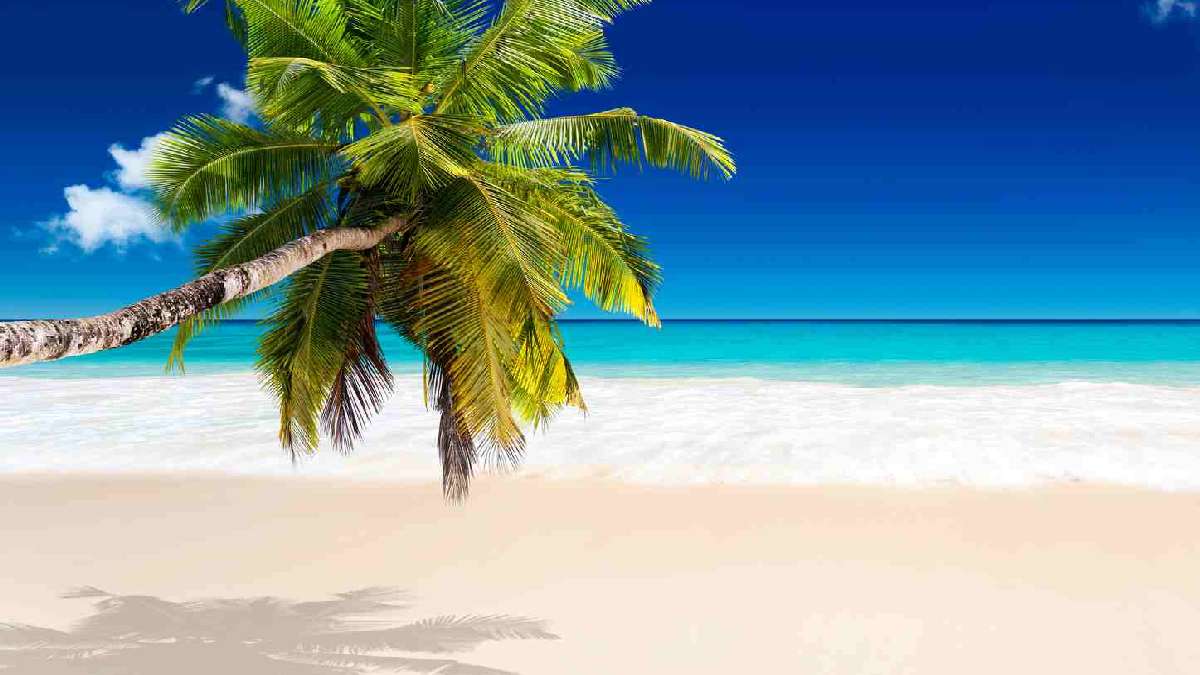 Seychelle-szigetek fakultatív program - OTP Travel Utazási iroda