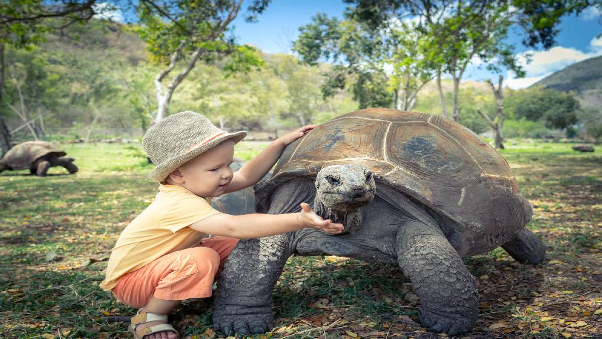 Seychelle-szigetek fakultatív program - OTP Travel Utazási iroda