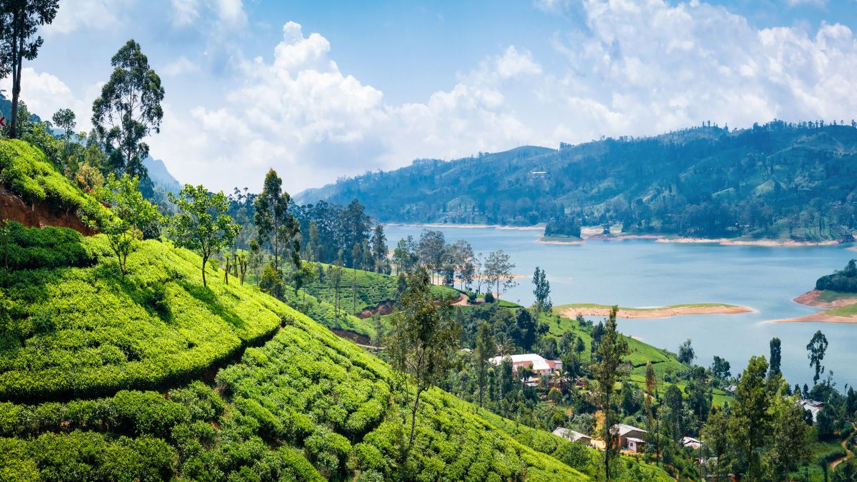 Körutazás Sri Lanka legjobbjai - OTP Travel utazási iroda