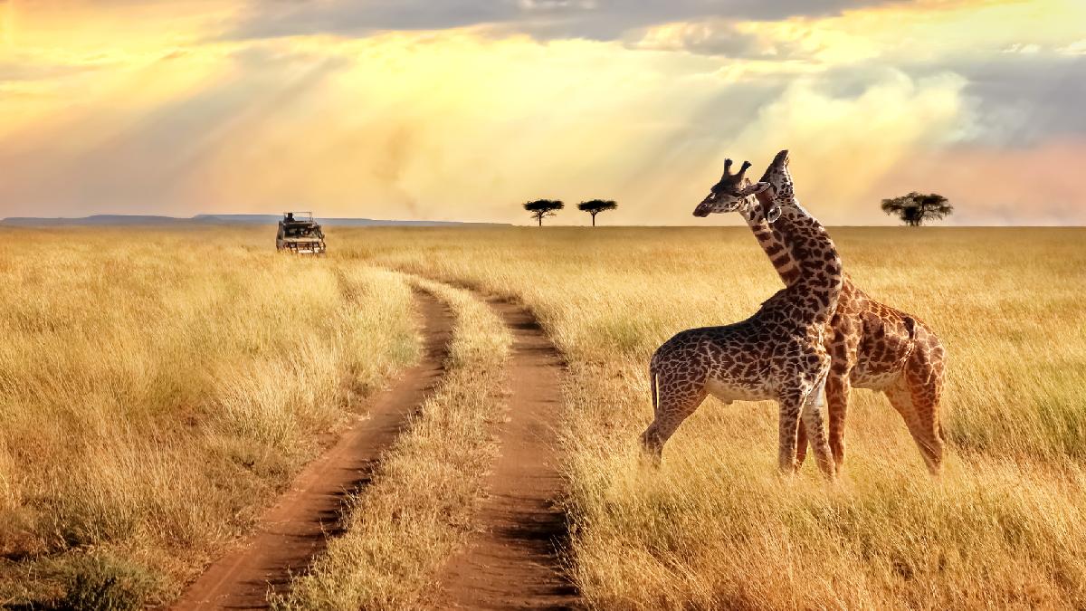 Botswana és Zimbabwe - Dél-Afrika csoportos szafari. Fedezze fel Afrikát az OTP Travel utazásán!