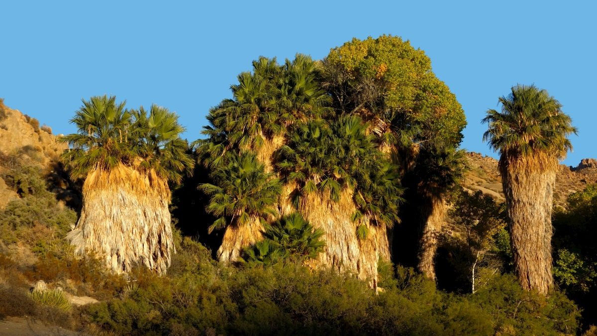 Az amerikai nyugat kincsei – Repülj és vezess! egyéni körutazás az OTP Travel szervezésében