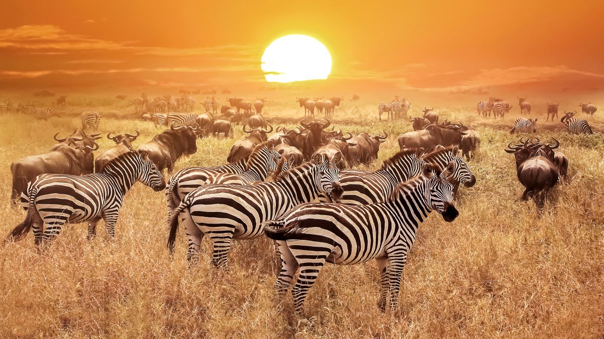 Uganda- OTP Travel utazási iroda