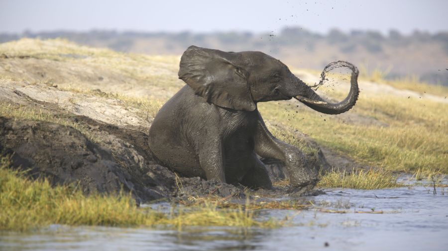 Zambia - Malawi egyéni szafari körutazás, angol nyelvű túravezetővel - Fedezze fel Afrikát az OTP Travel utazásán!