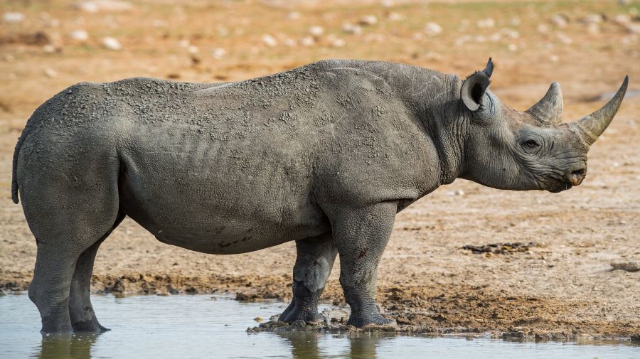 Zambia - Malawi egyéni szafari körutazás, angol nyelvű túravezetővel - Fedezze fel Afrikát az OTP Travel utazásán!