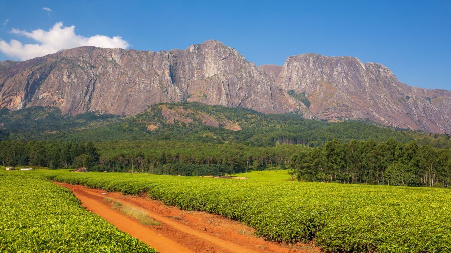 Zambia - Malawi egyéni szafari körutazás, angol nyelvű túravezetővel - Fedezze fel Afrikát az OTP Travel utazásán!