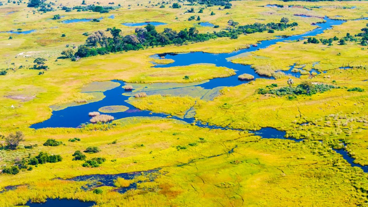 Zambia - Namíbia - Botswana egyéni szafari körutazás, angol nyelvű túravezetővel - Fedezze fel Afrikát az OTP Travel utazásán!