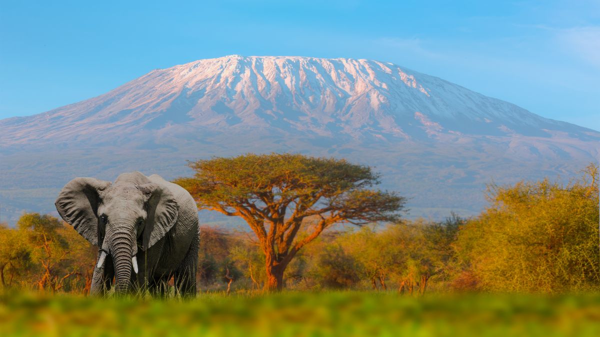 Kenyai kalandok – szafari körutazás pihenéssel - utazásszervező utazásán!