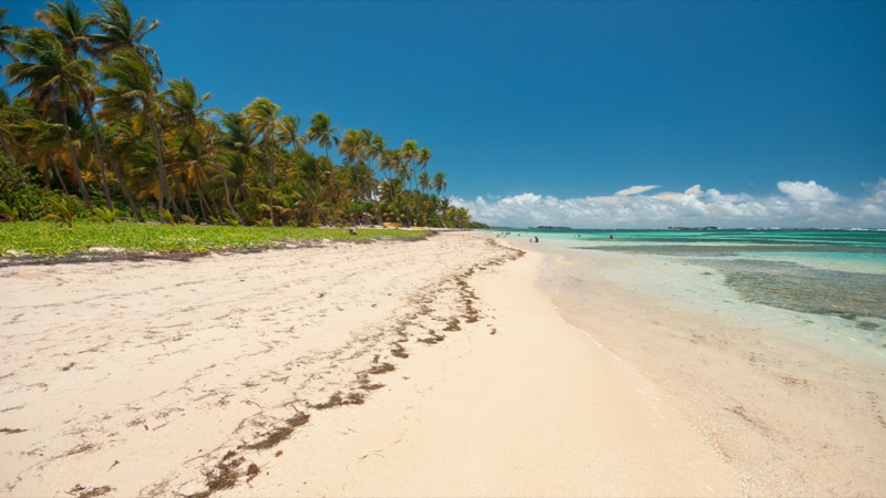 Martinique strandok: Anse Michel - OTP Travel Utazási Iroda