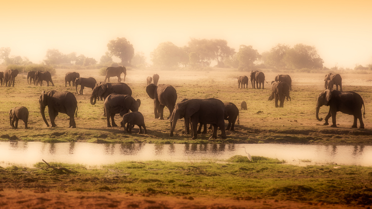 Afrika - UTAZÁS | OTP TRAVEL Utazási Iroda