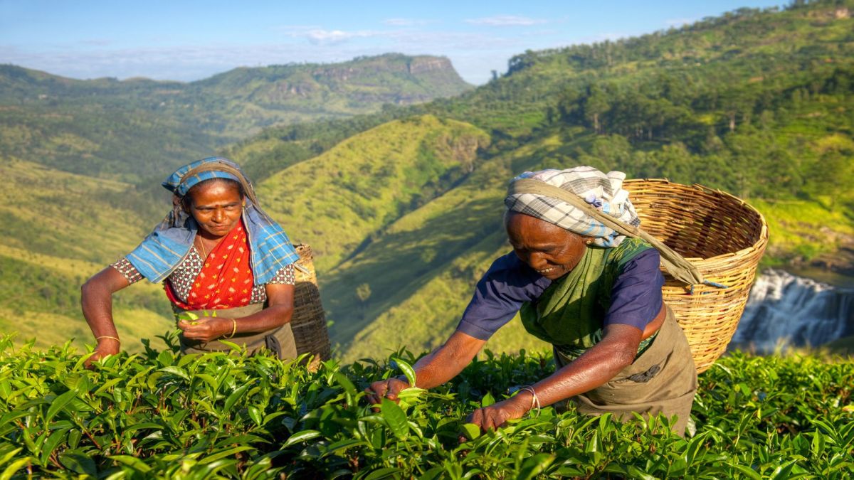 Srí Lanka utazás - OTP Travel Utazási Iroda